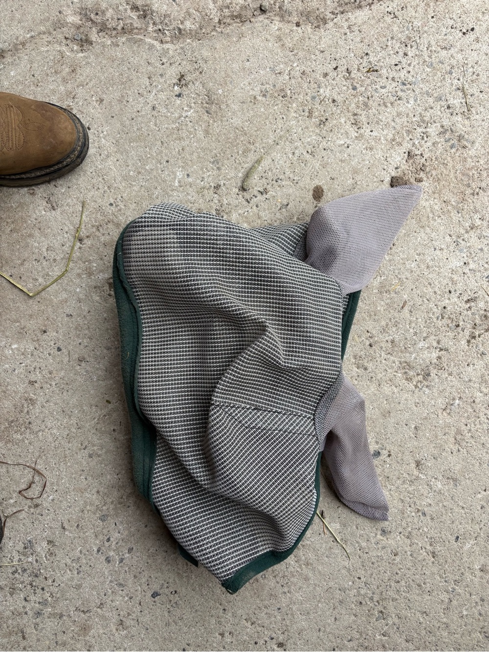 Horse fly mask